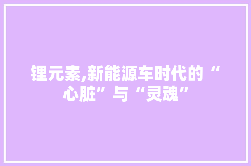 锂元素,新能源车时代的“心脏”与“灵魂”