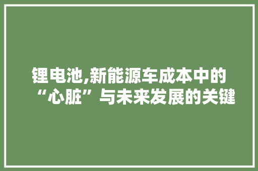 锂电池,新能源车成本中的“心脏”与未来发展的关键 变速箱配件