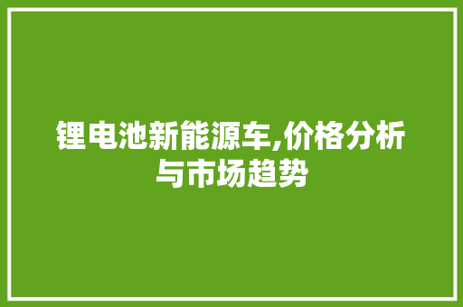 锂电池新能源车,价格分析与市场趋势