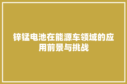 锌锰电池在能源车领域的应用前景与挑战