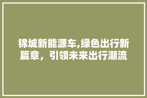 锦城新能源车,绿色出行新篇章，引领未来出行潮流