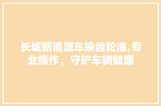 长城新能源车换齿轮油,专业操作，守护车辆健康