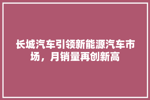 长城汽车引领新能源汽车市场，月销量再创新高