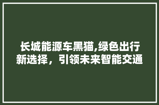 长城能源车黑猫,绿色出行新选择，引领未来智能交通