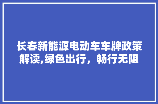 长春新能源电动车车牌政策解读,绿色出行，畅行无阻