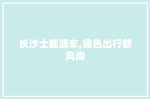 长沙士能源车,绿色出行新风尚 车灯配件