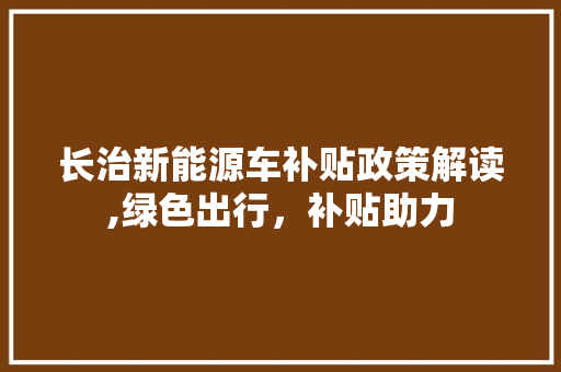 长治新能源车补贴政策解读,绿色出行，补贴助力