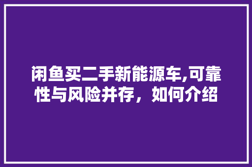 闲鱼买二手新能源车,可靠性与风险并存，如何介绍