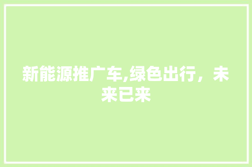 新能源推广车,绿色出行，未来已来
