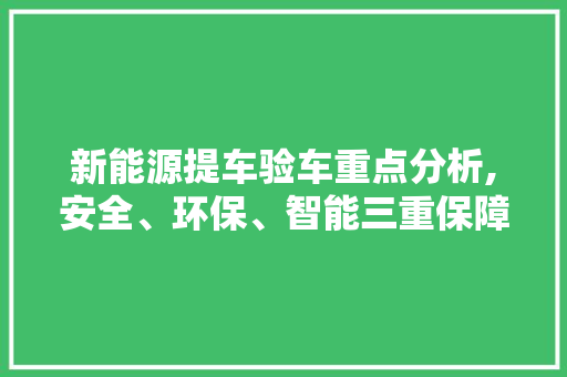新能源提车验车重点分析,安全、环保、智能三重保障