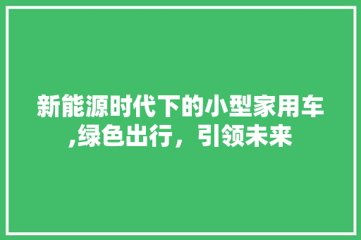 新能源时代下的小型家用车,绿色出行，引领未来