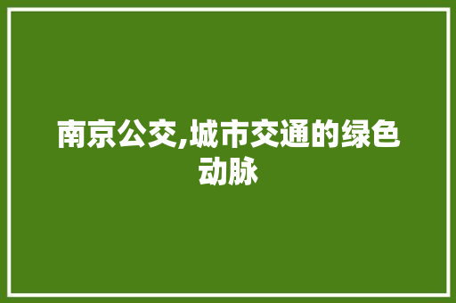 南京公交,城市交通的绿色动脉