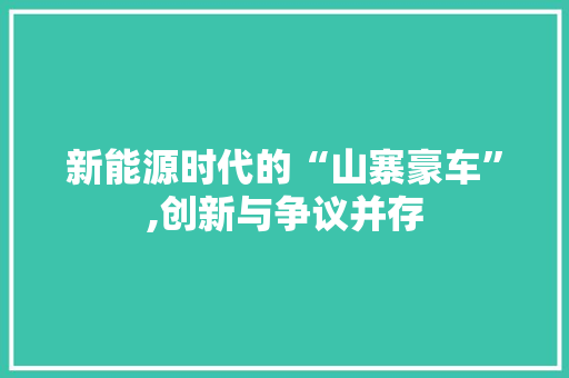 新能源时代的“山寨豪车”,创新与争议并存