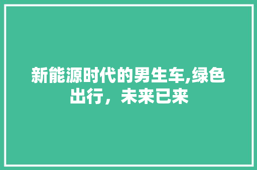 新能源时代的男生车,绿色出行，未来已来