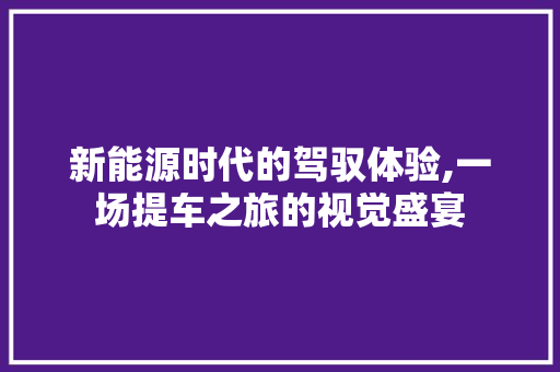 新能源时代的驾驭体验,一场提车之旅的视觉盛宴