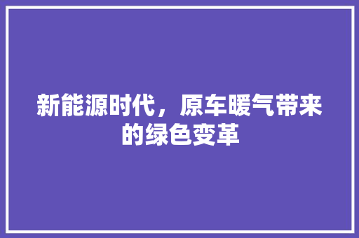 新能源时代，原车暖气带来的绿色变革