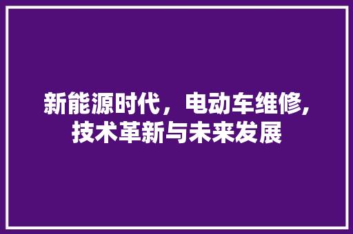 新能源时代，电动车维修,技术革新与未来发展