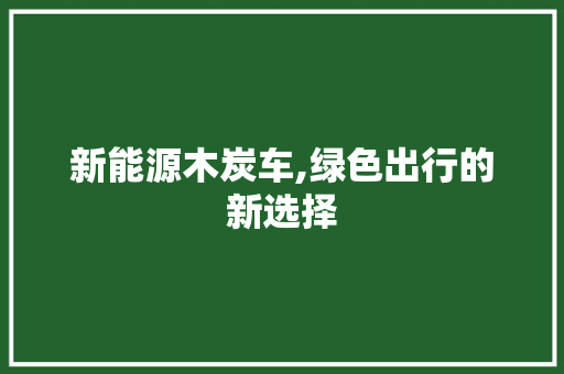 新能源木炭车,绿色出行的新选择