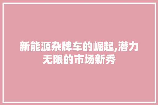 新能源杂牌车的崛起,潜力无限的市场新秀