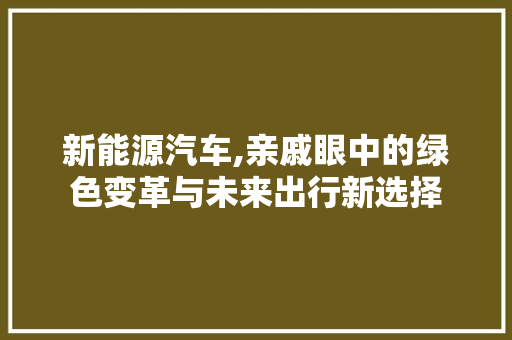 新能源汽车,亲戚眼中的绿色变革与未来出行新选择