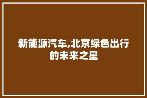 新能源汽车,北京绿色出行的未来之星