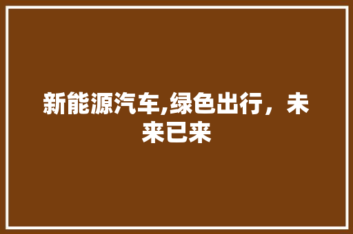 新能源汽车,绿色出行，未来已来