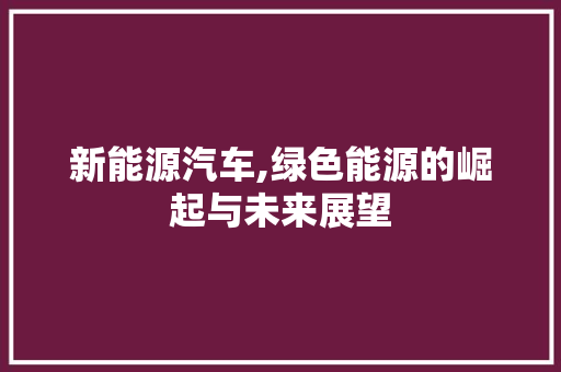 新能源汽车,绿色能源的崛起与未来展望