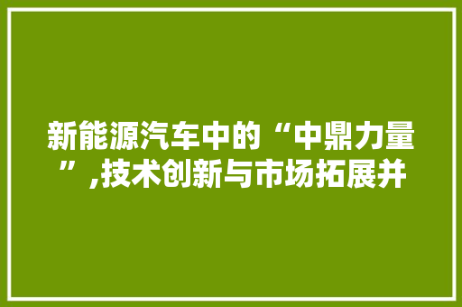 新能源汽车中的“中鼎力量”,技术创新与市场拓展并行不悖