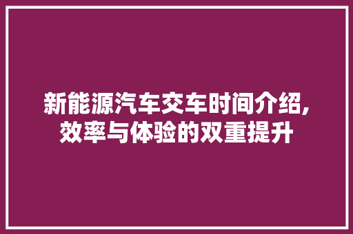 新能源汽车交车时间介绍,效率与体验的双重提升