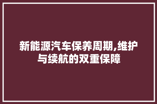 新能源汽车保养周期,维护与续航的双重保障