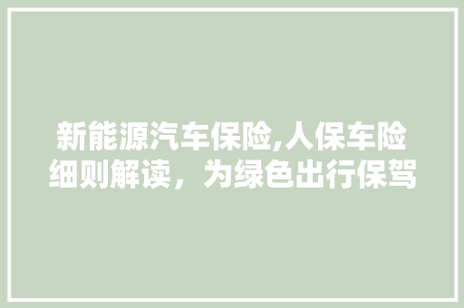 新能源汽车保险,人保车险细则解读，为绿色出行保驾护航