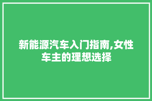 新能源汽车入门指南,女性车主的理想选择