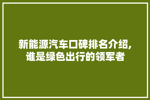 新能源汽车口碑排名介绍,谁是绿色出行的领军者