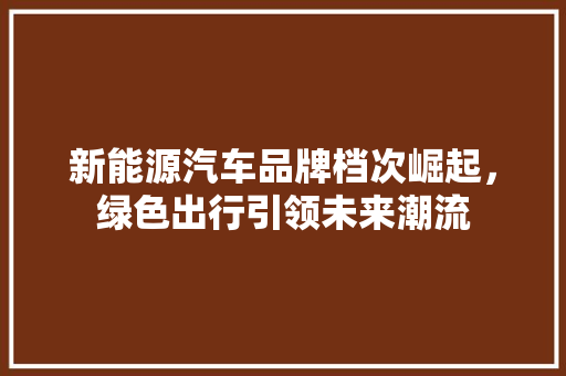新能源汽车品牌档次崛起，绿色出行引领未来潮流