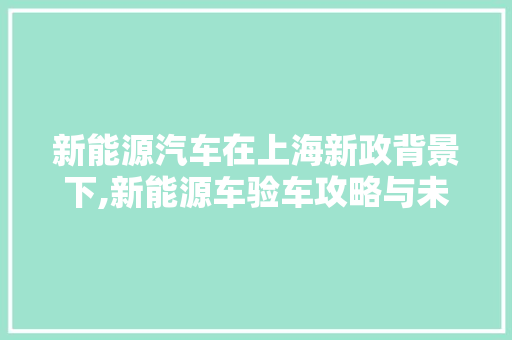 新能源汽车在上海新政背景下,新能源车验车攻略与未来展望