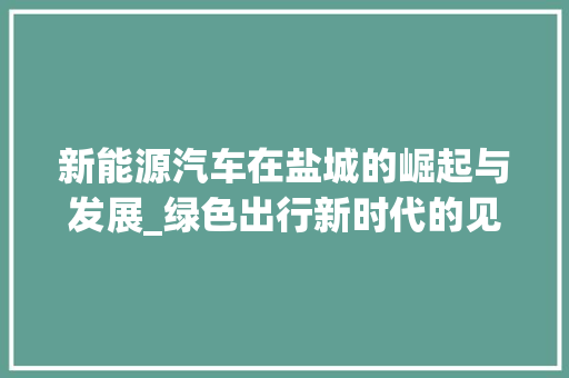 新能源汽车在盐城的崛起与发展_绿色出行新时代的见证