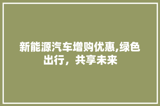 新能源汽车增购优惠,绿色出行，共享未来