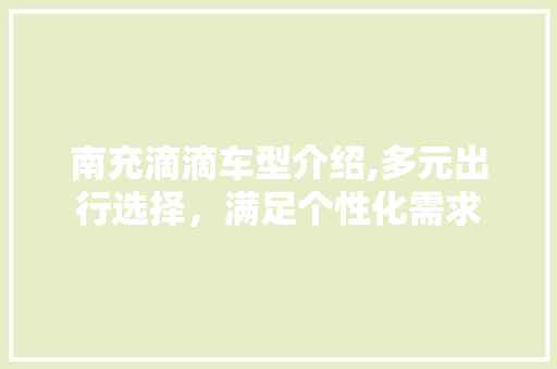 南充滴滴车型介绍,多元出行选择，满足个性化需求