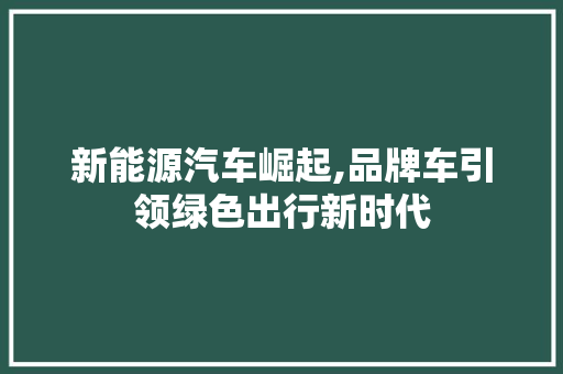 新能源汽车崛起,品牌车引领绿色出行新时代