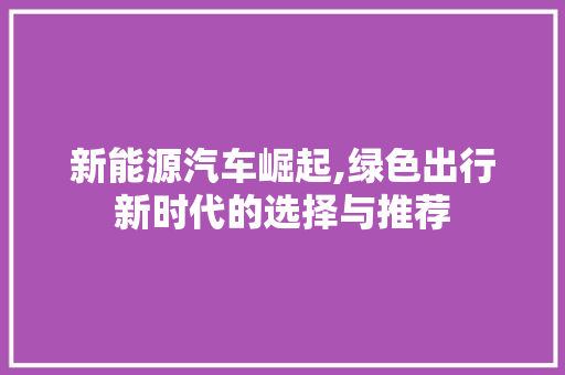 新能源汽车崛起,绿色出行新时代的选择与推荐