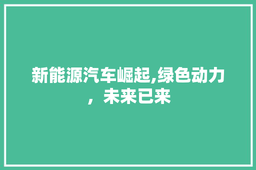 新能源汽车崛起,绿色动力，未来已来