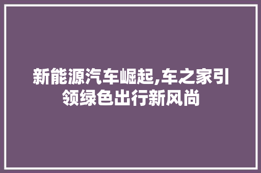 新能源汽车崛起,车之家引领绿色出行新风尚 新能源汽车