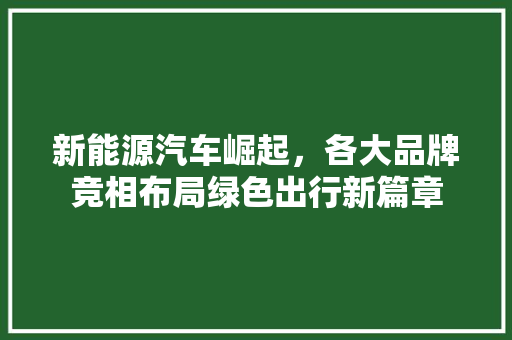 新能源汽车崛起，各大品牌竞相布局绿色出行新篇章
