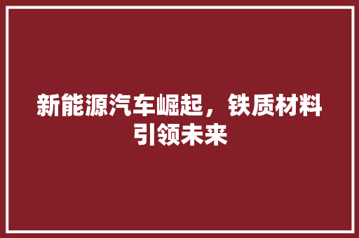 新能源汽车崛起，铁质材料引领未来