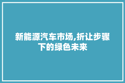 新能源汽车市场,折让步骤下的绿色未来
