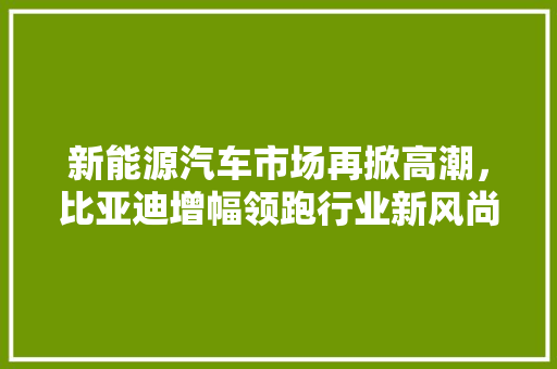 新能源汽车市场再掀高潮，比亚迪增幅领跑行业新风尚