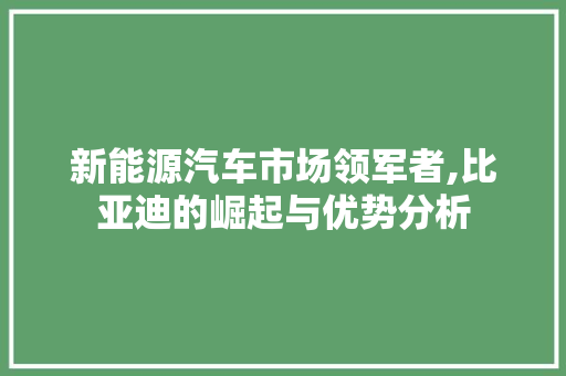 新能源汽车市场领军者,比亚迪的崛起与优势分析