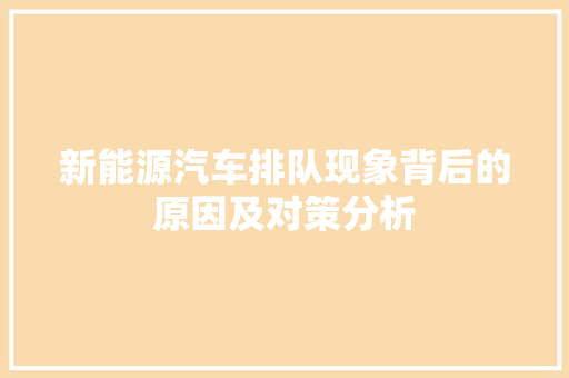 新能源汽车排队现象背后的原因及对策分析 蓄电池配件