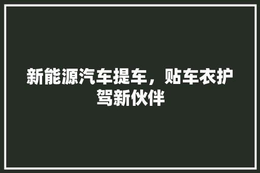 新能源汽车提车，贴车衣护驾新伙伴
