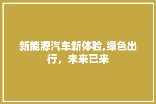 新能源汽车新体验,绿色出行，未来已来